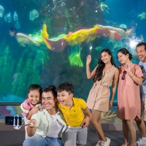 Hinh anh VinWonders Nha Trang Sea World Thuy cung 3x2 so 4