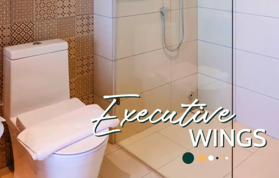 Executive Hướng Thành phố