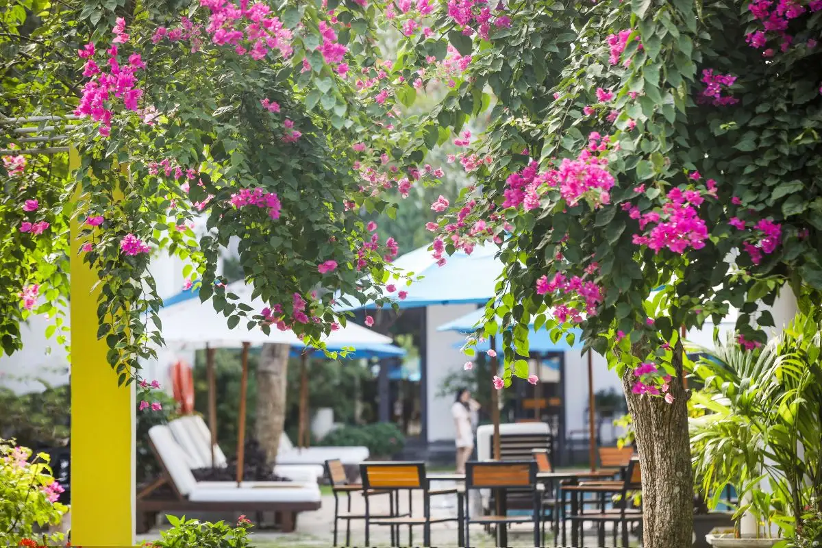 [Voucher 2N1Đ] Nghỉ Dưỡng Tại ÊMM Hotel Hoi An