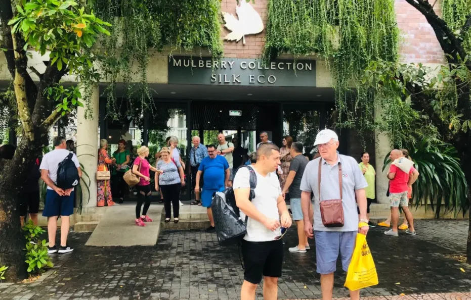 Mulberry Collection Silk Eco
