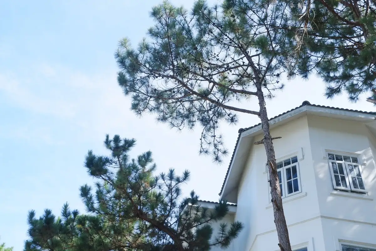 [Voucher 2N1Đ] Nghỉ Dưỡng Tại Cereja Hotel & Resort Da Lat