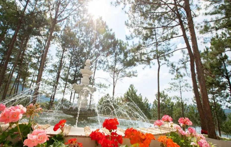 Cereja Hotel & Resort