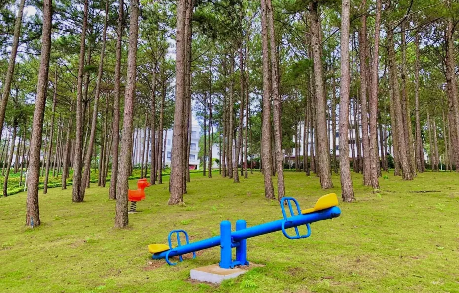 Cereja Hotel & Resort