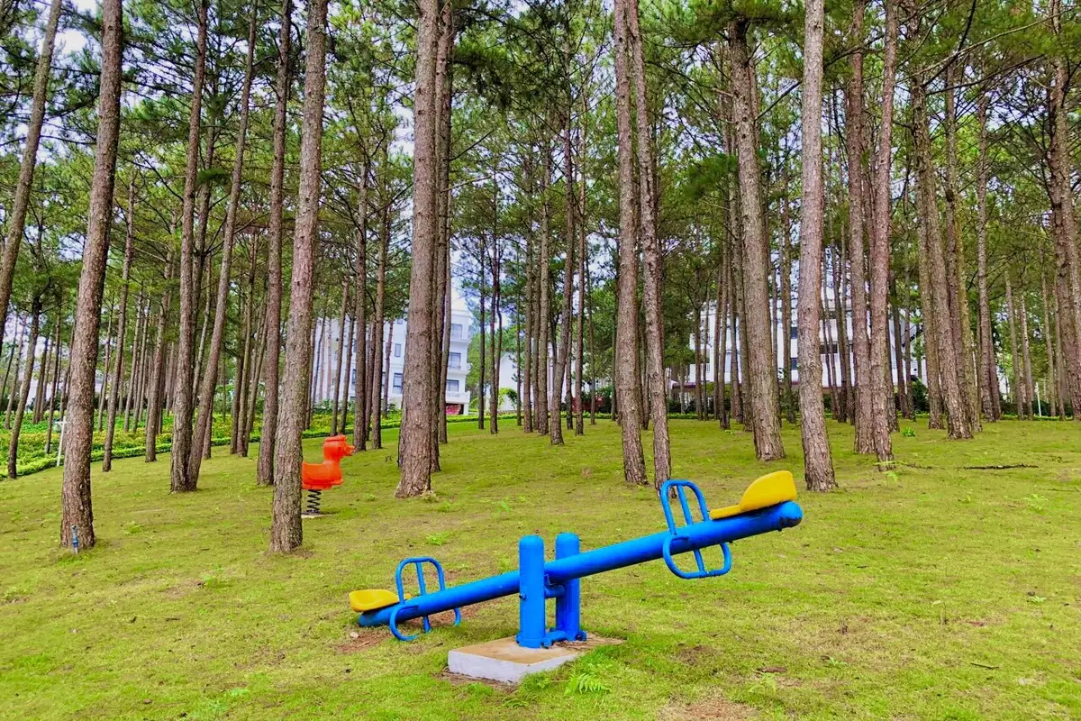 [Voucher 2N1Đ] Nghỉ Dưỡng Tại Cereja Hotel & Resort Da Lat