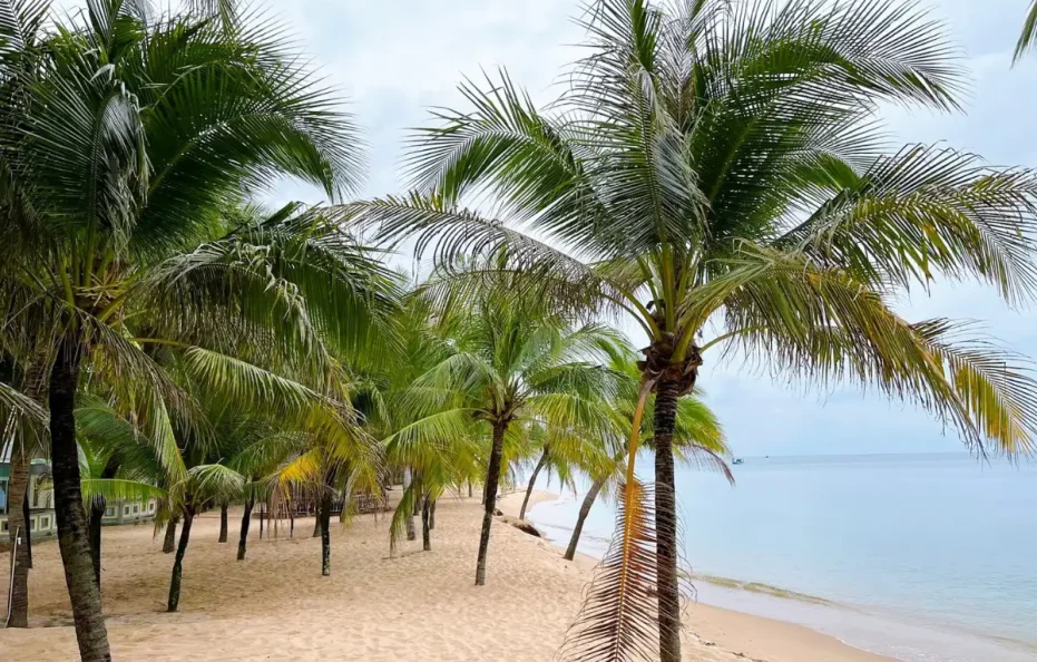 Dusit Princess Moonrise Beach Resort Phú Quốc