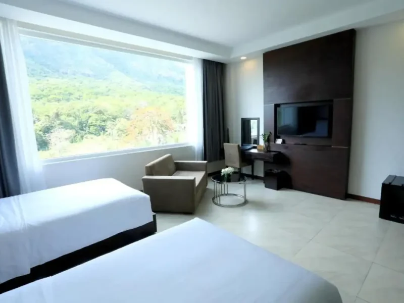 Deluxe Twin Mountain View