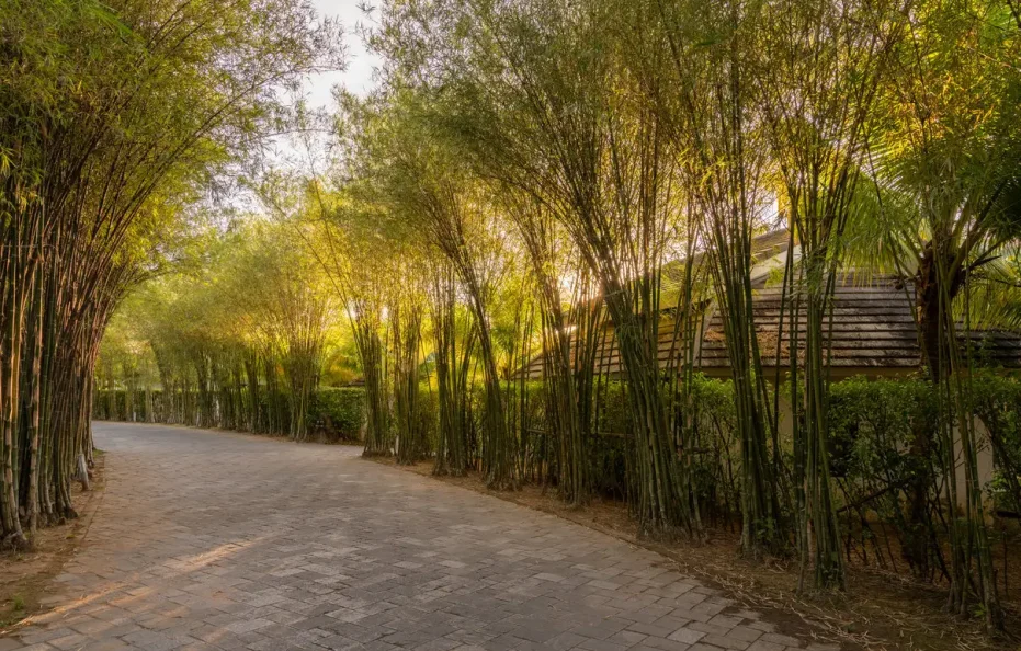 The Shells Resort & Spa Phú Quốc