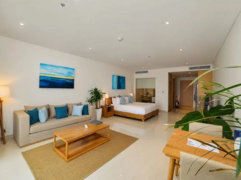 Apartment 1 Bedroom