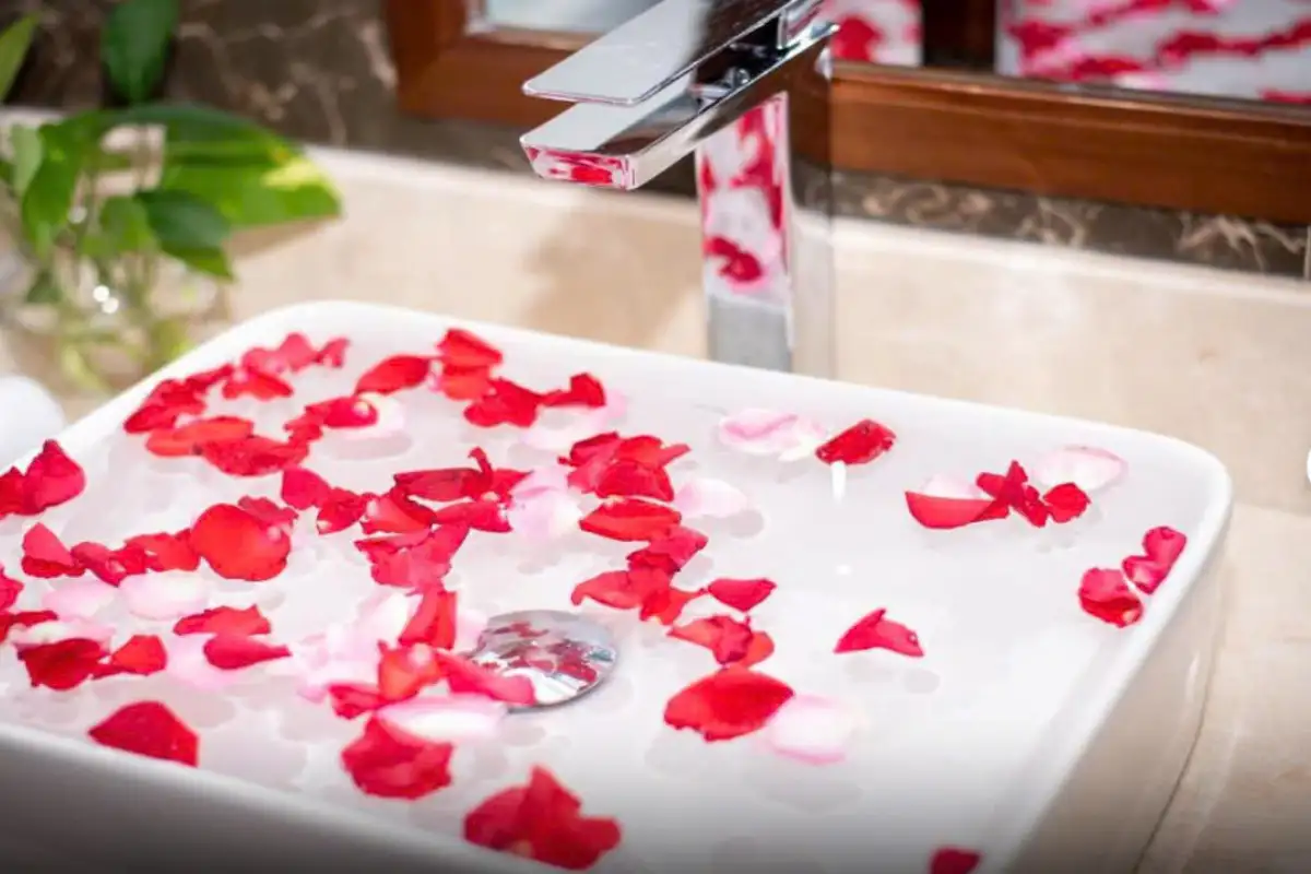 Hình ảnh minh họa: Junior Suite