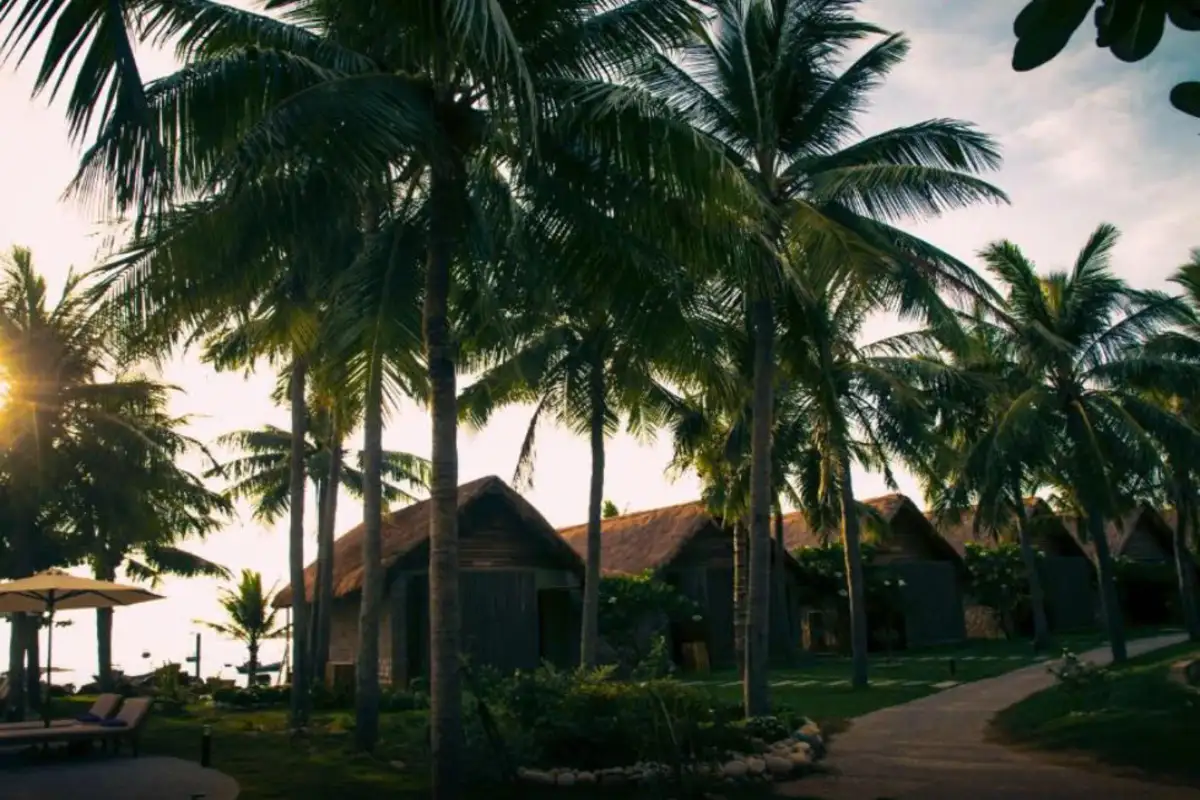 Hình ảnh minh họa: Bungalow Ocean Front