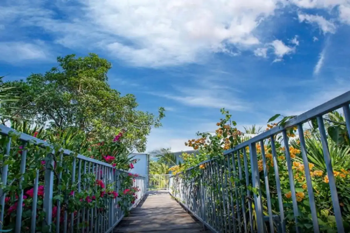 Hình ảnh minh họa: Deluxe Sea View Triple