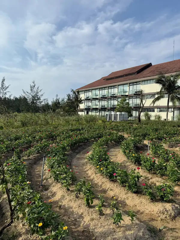 Hình ảnh minh họa: Trani Tham Dự Trải Nghiệm Dịp Lễ Khai Trương Robinson Nam Hội An