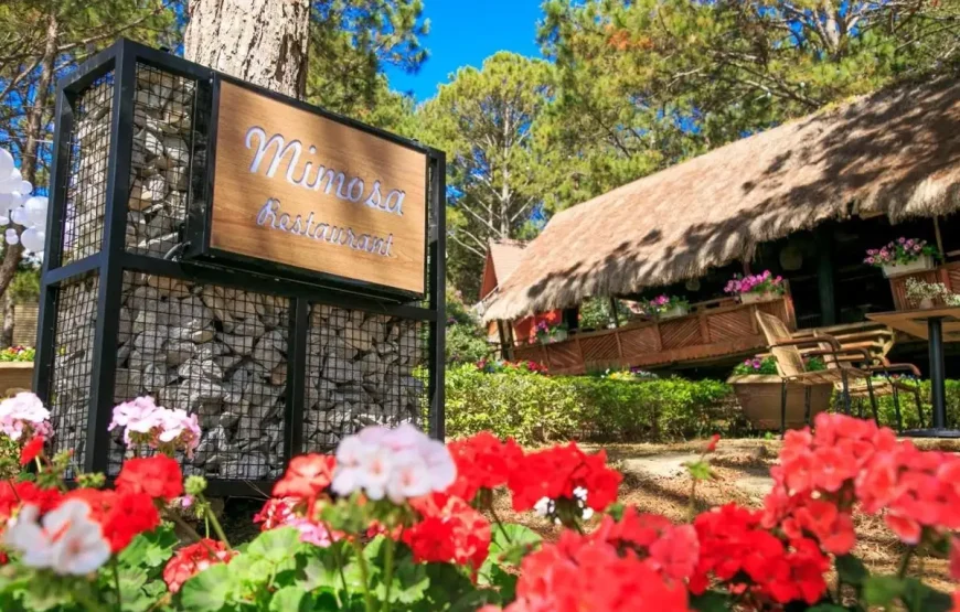 [Voucher 2N1Đ] TTC Resort Đồi Mộng Mơ
