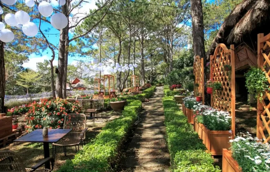 [Voucher 2N1Đ] TTC Resort Đồi Mộng Mơ