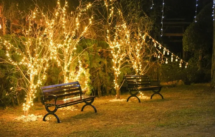 [Voucher 2N1Đ] TTC Resort Đồi Mộng Mơ