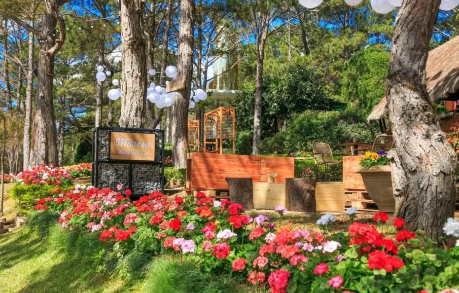 TTC Resort Đồi Mộng Mơ