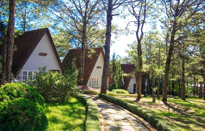 [Voucher 2N1Đ] TTC Resort Đồi Mộng Mơ