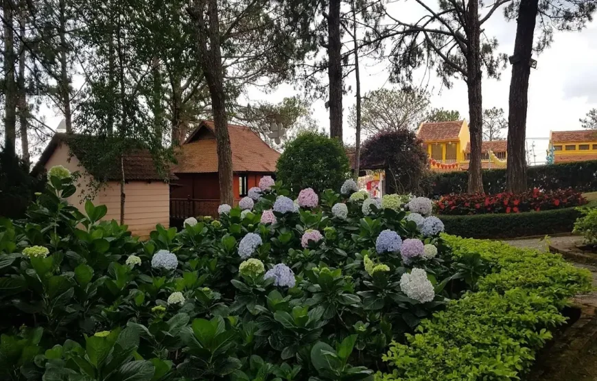 [Voucher 2N1Đ] TTC Resort Đồi Mộng Mơ
