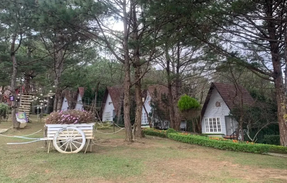 TTC Resort Đồi Mộng Mơ
