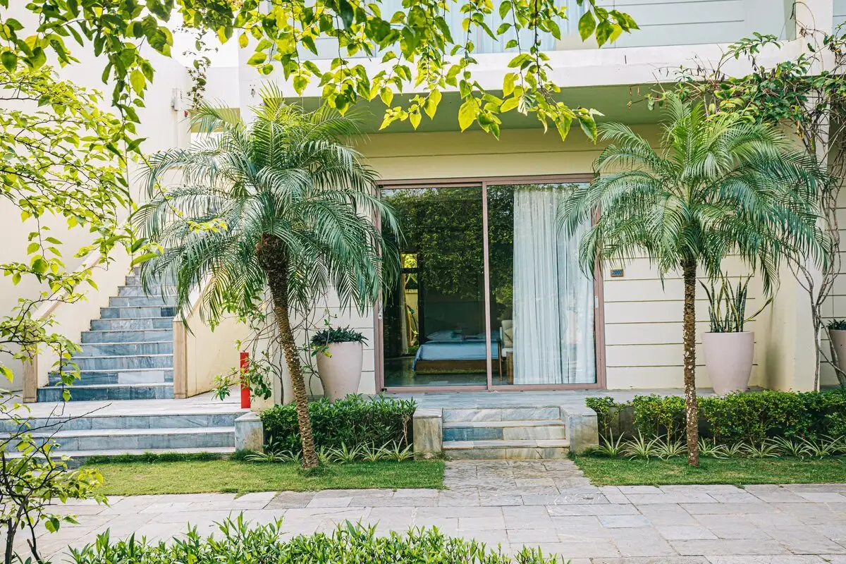 Hình ảnh minh họa: Studio Living