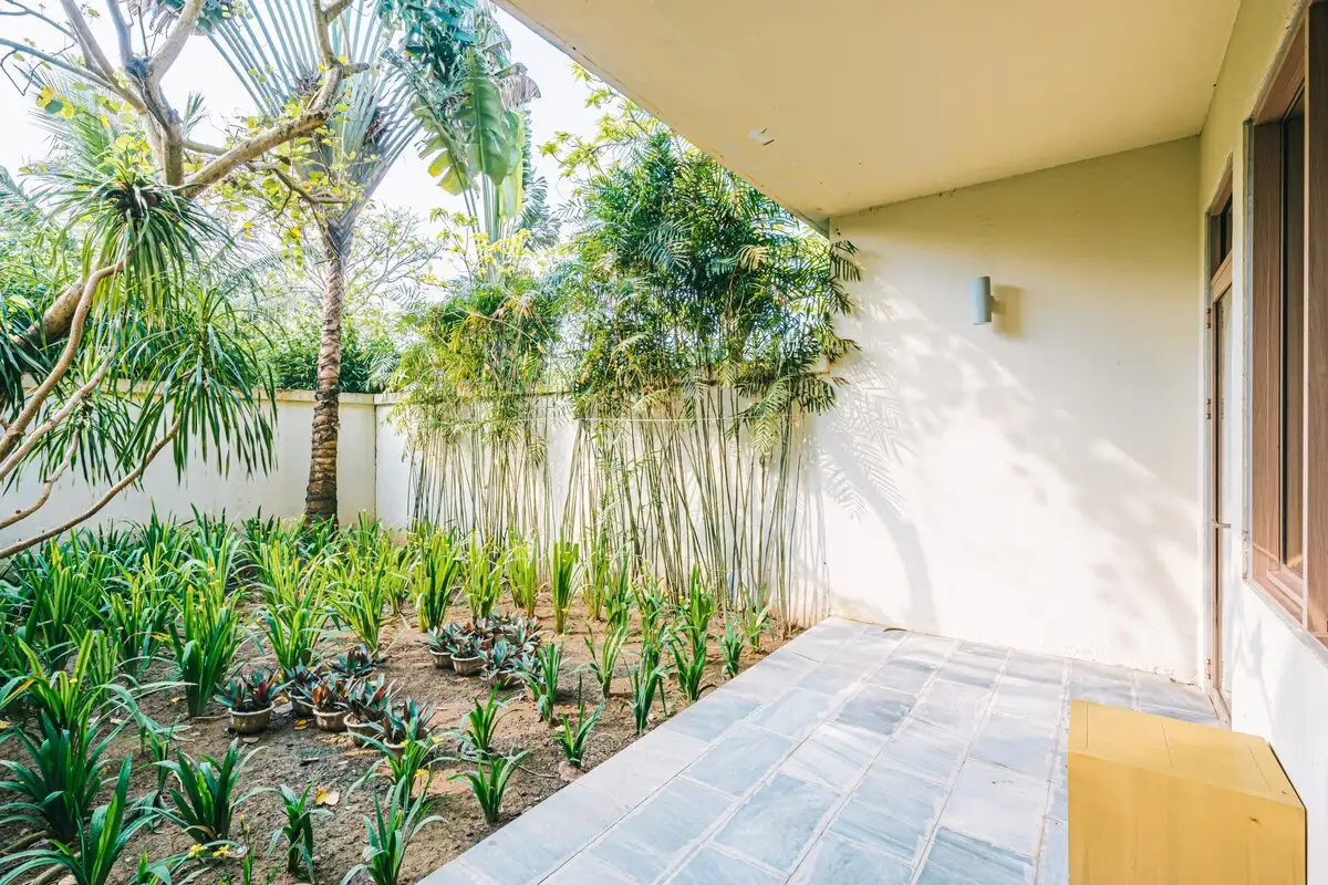 Hình ảnh minh họa: Studio Living