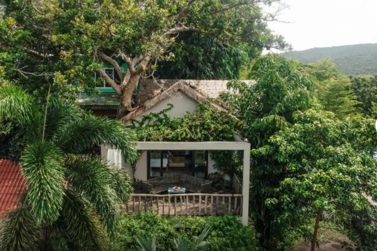 Hình ảnh minh họa: M House – Tropical Village
