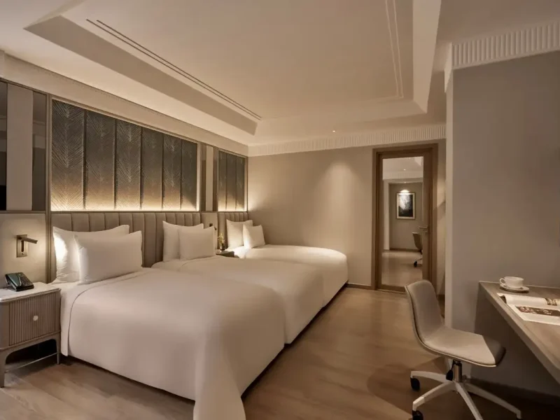Hình ảnh minh họa: Executive Connecting
