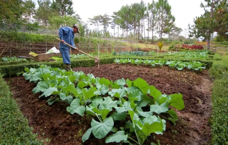 Binh An Village Resort Dalat