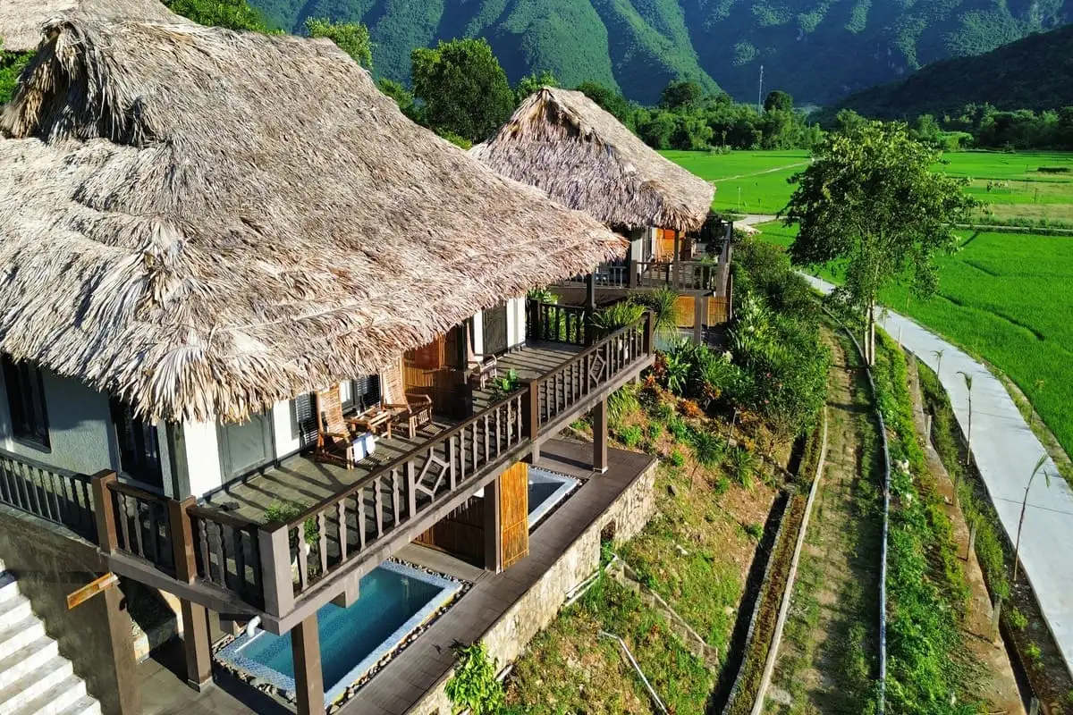 Hình ảnh minh họa: Suite