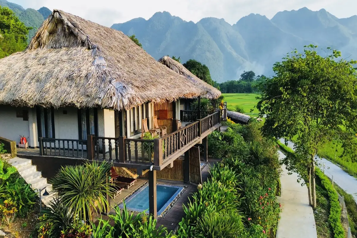 Hình ảnh minh họa: Suite