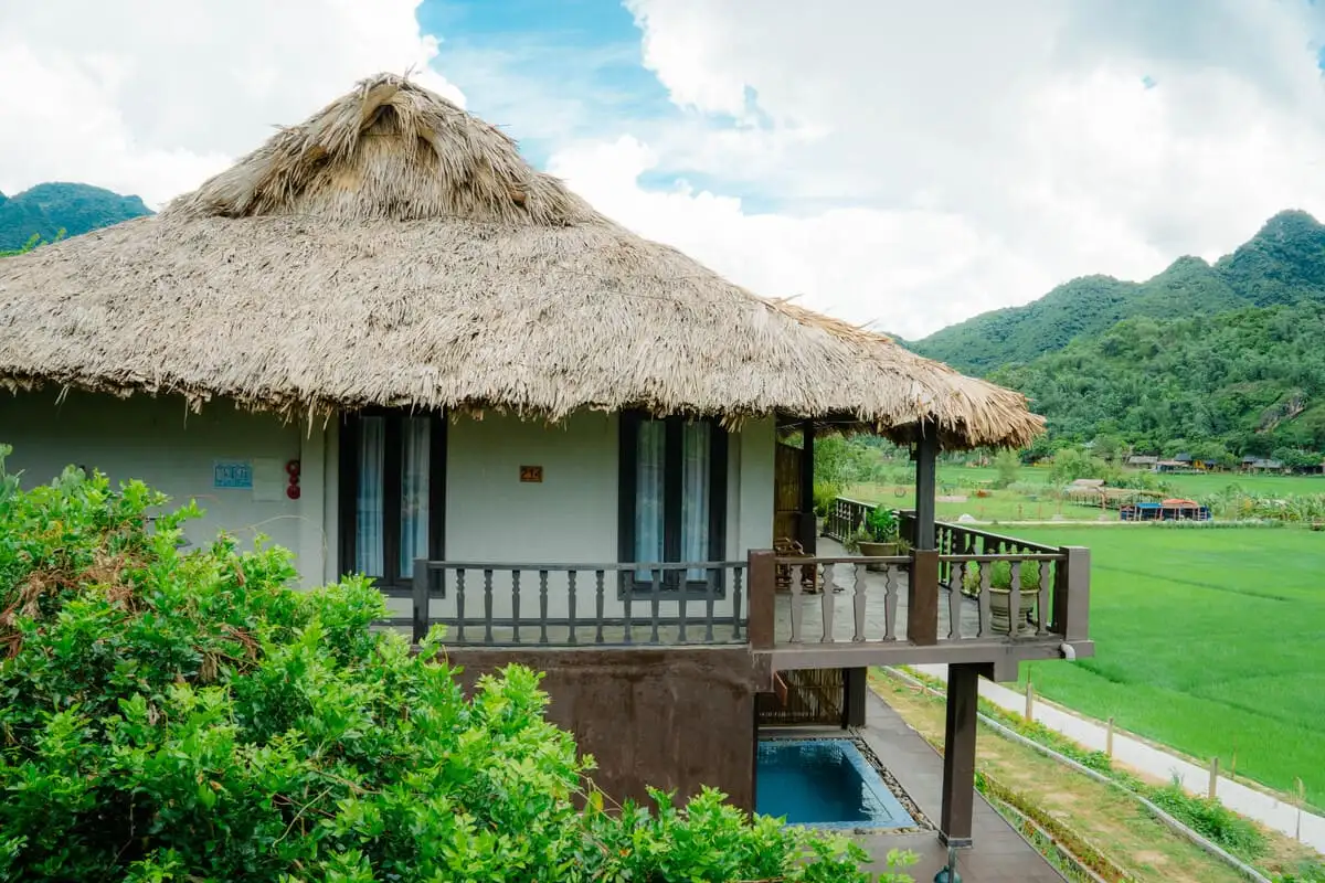 Hình ảnh minh họa: Suite