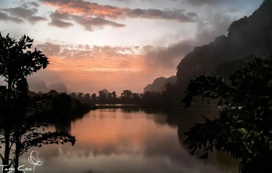 Tam Coc Garden Resort