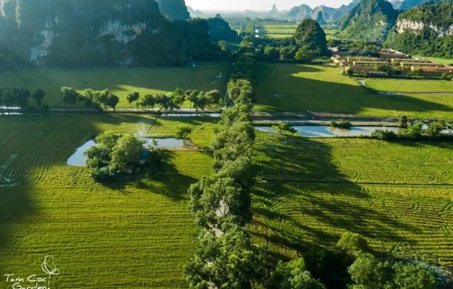 Tam Coc Garden Resort